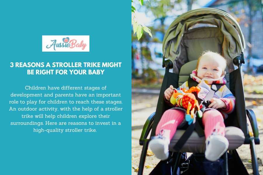 3 Reasons A Stroller Trike Might Be Right For Your Baby