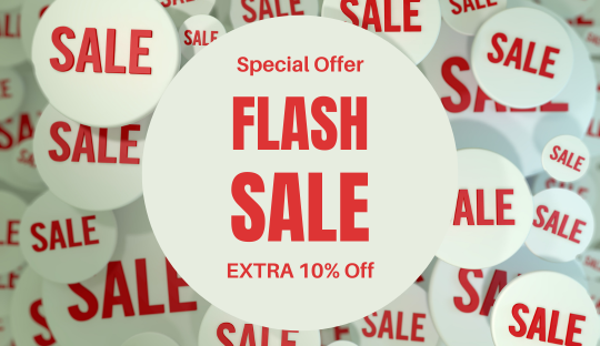 4-DAY FLASH SALE: 10% OFF STOREWIDE