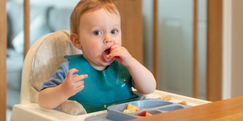High Chairs and Healthy Eating: How a Dedicated Seat Can Improve Mealtime Habits