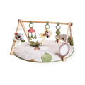 Tiny Love Boho Chic Luxe Gymini